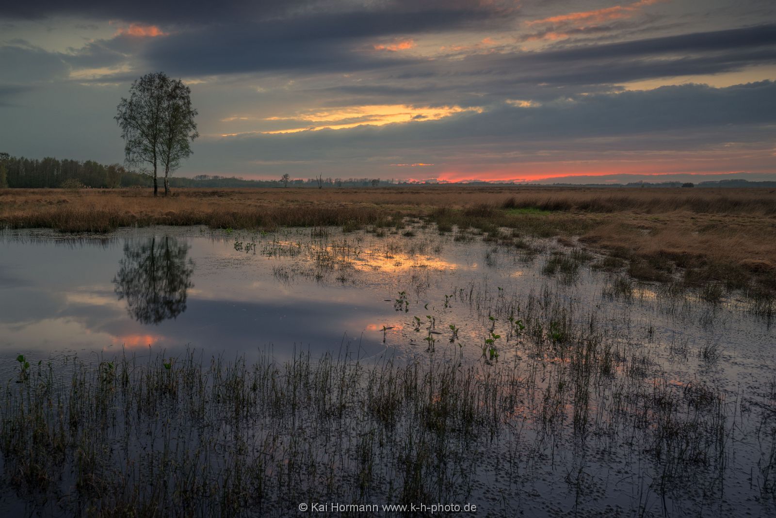Großes Torfmoor Das Große Torfmoor.