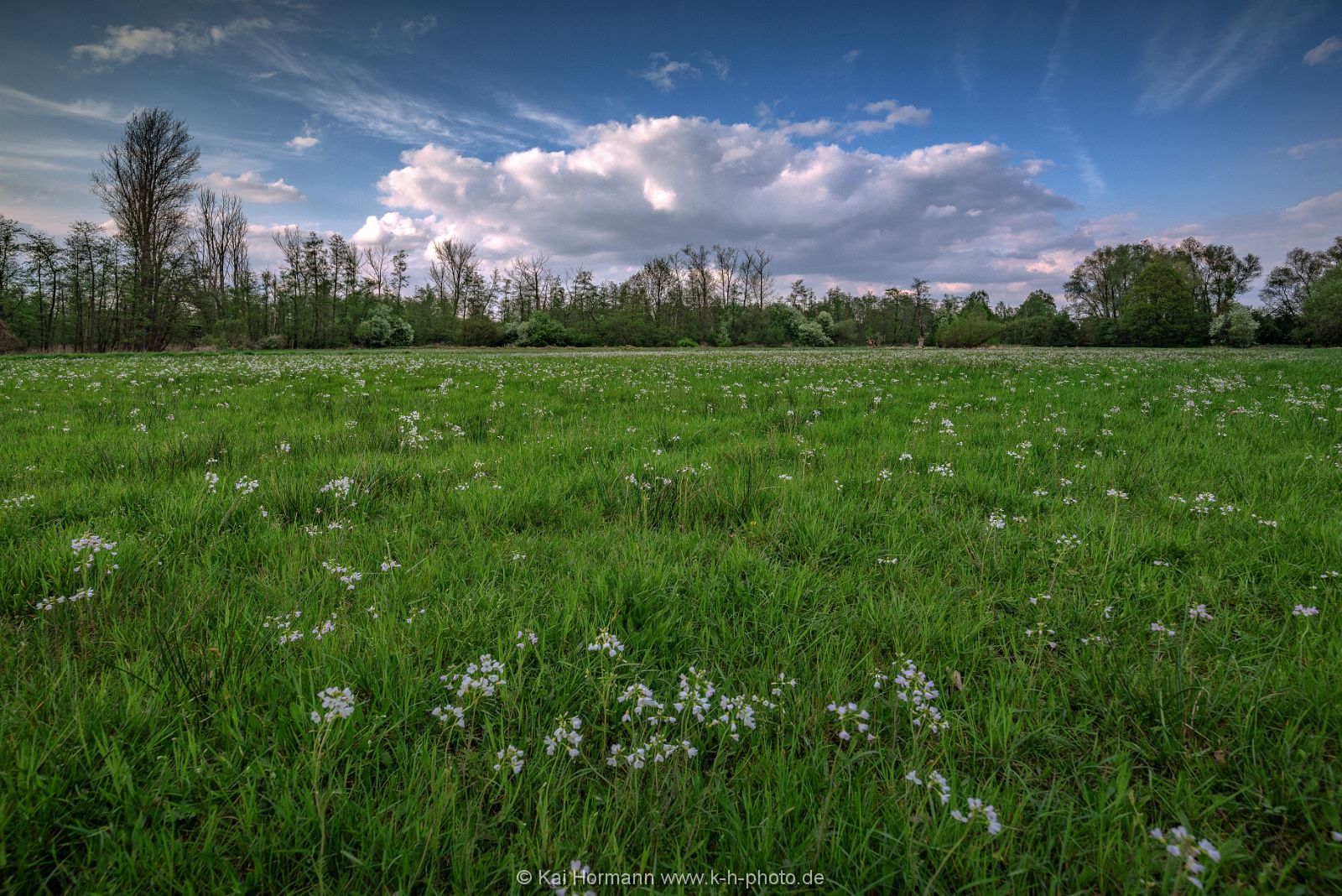 Großes Torfmoor Das Große Torfmoor.