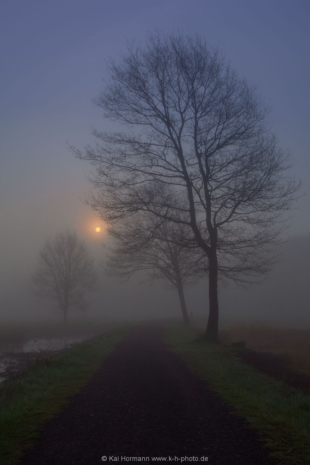 Großes Torfmoor Das Große Torfmoor.