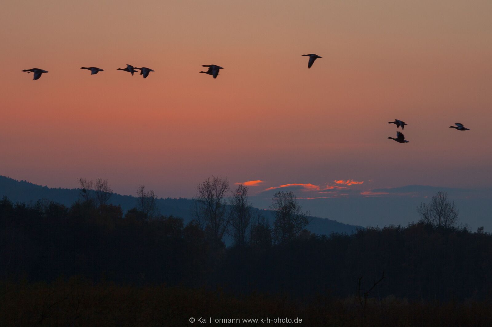 Großes Torfmoor Das Große Torfmoor.