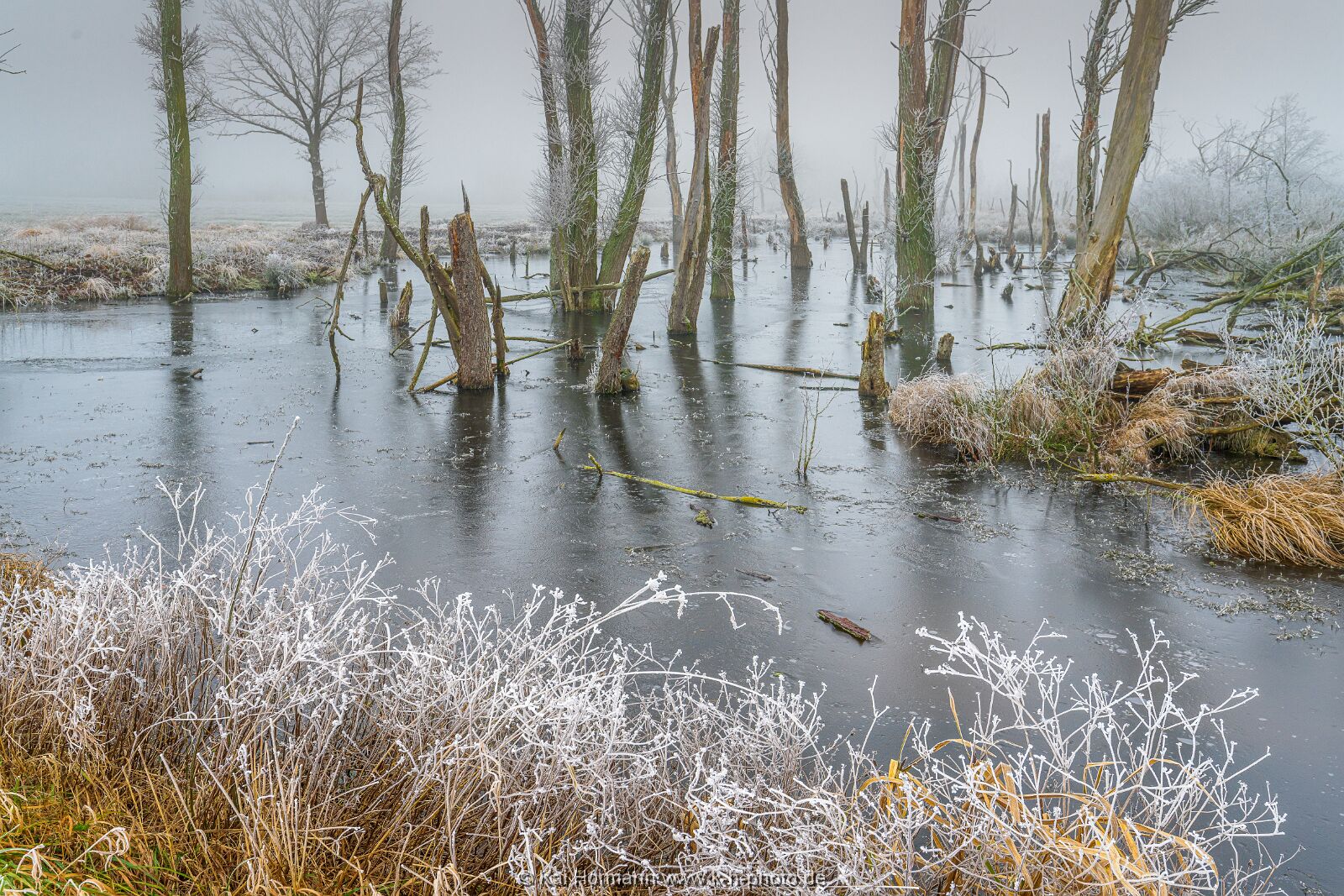 Östliches großes Torfmoor 19 Januar 2025 10. 