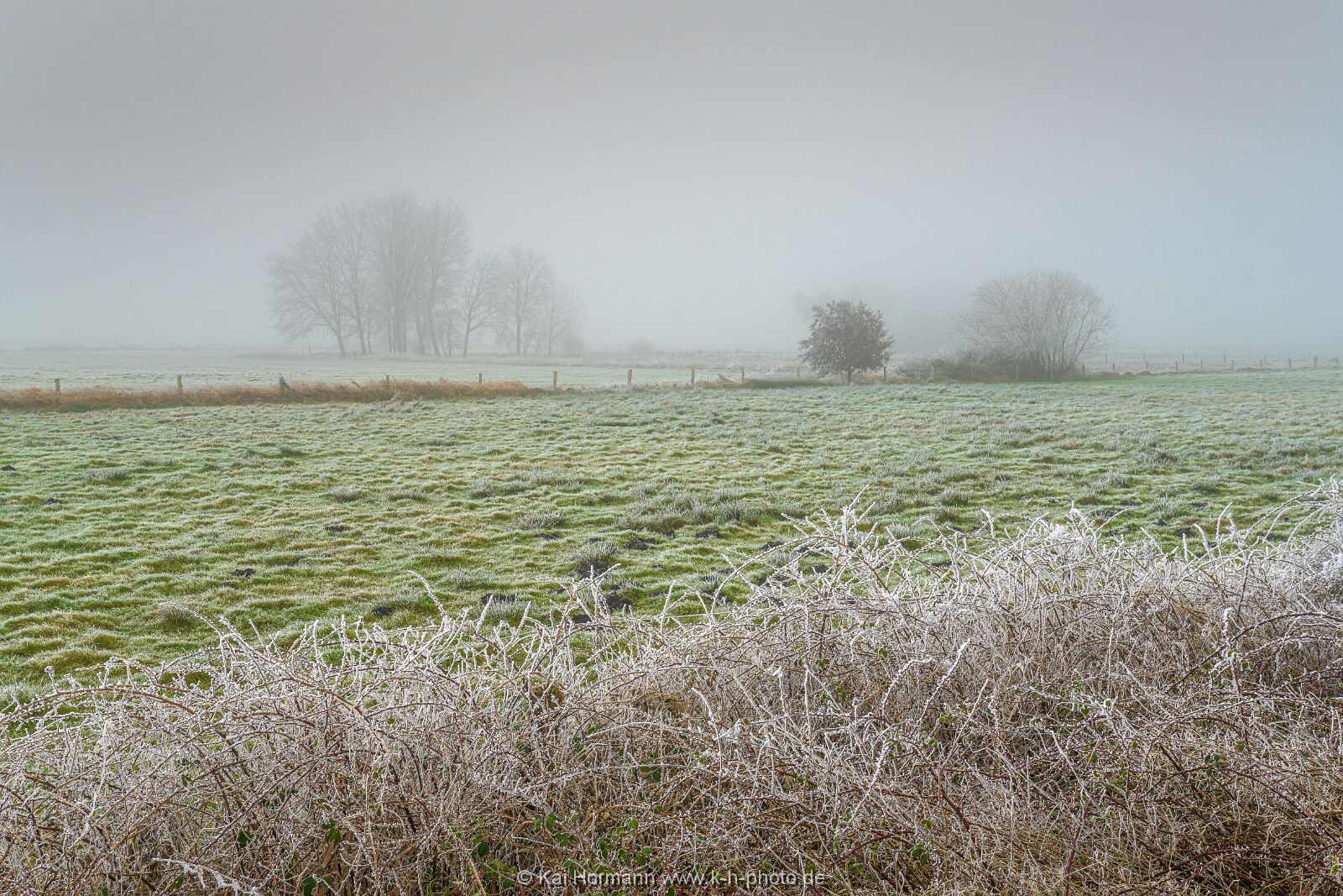 Östliches großes Torfmoor 19 Januar 2025 11. 