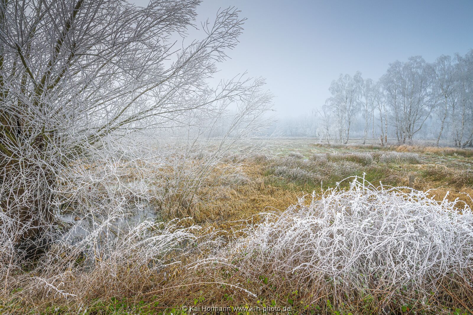 Östliches großes Torfmoor 19 Januar 2025 3. 
