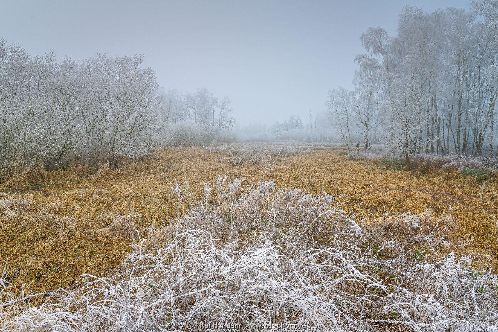 Östliches großes Torfmoor 19 Januar 2025 4. 