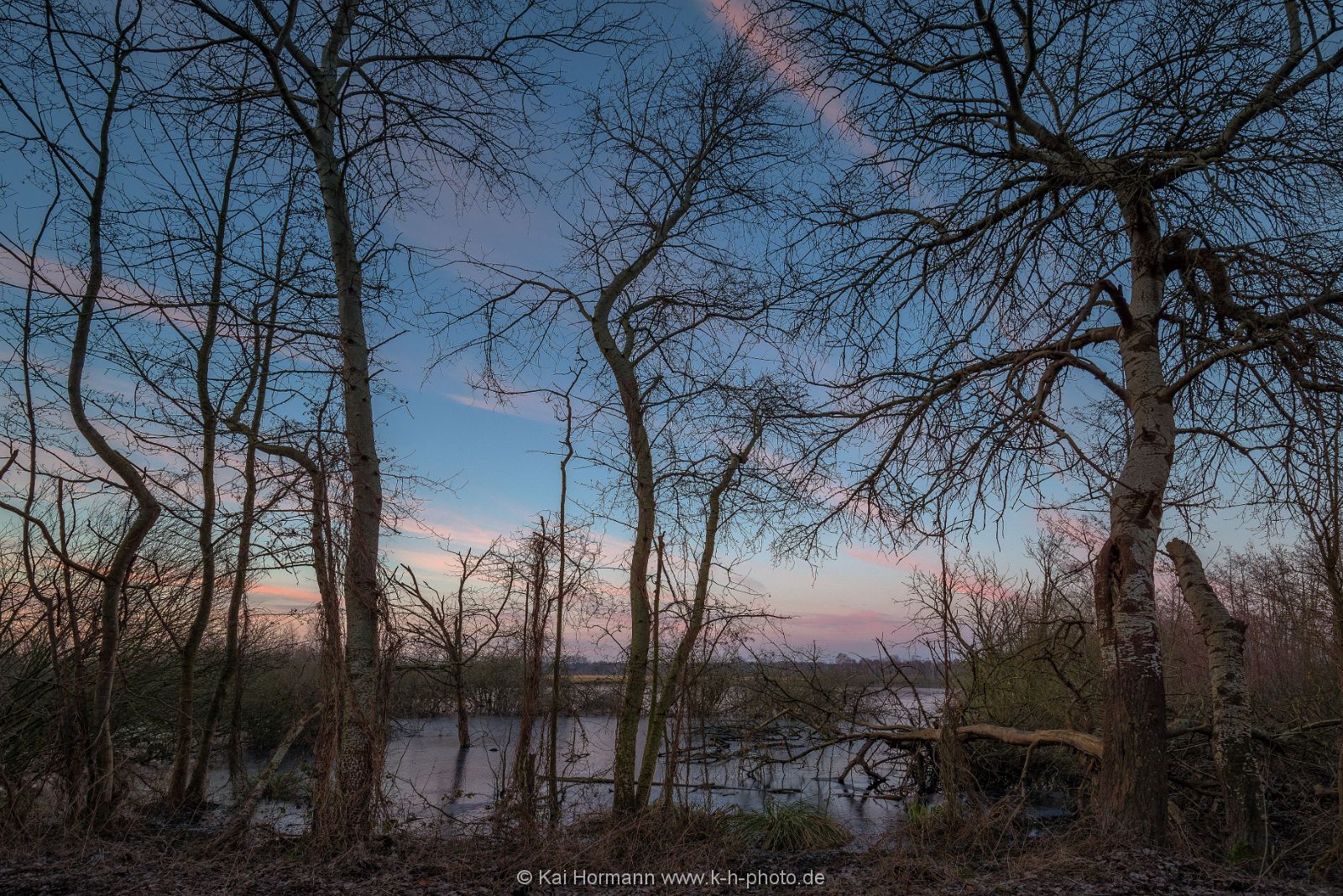 Großes Torfmoor Das Große Torfmoor.