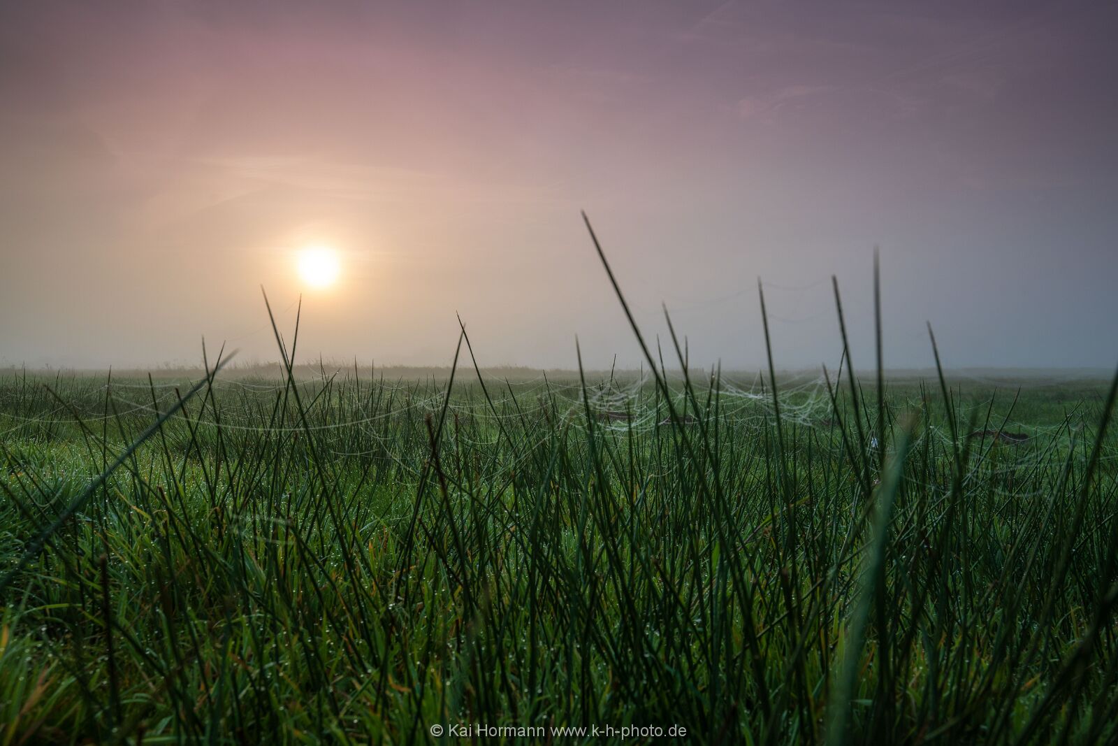 Östliches großes Torfmoor, 31 Oktober 2022. Bild 4. 