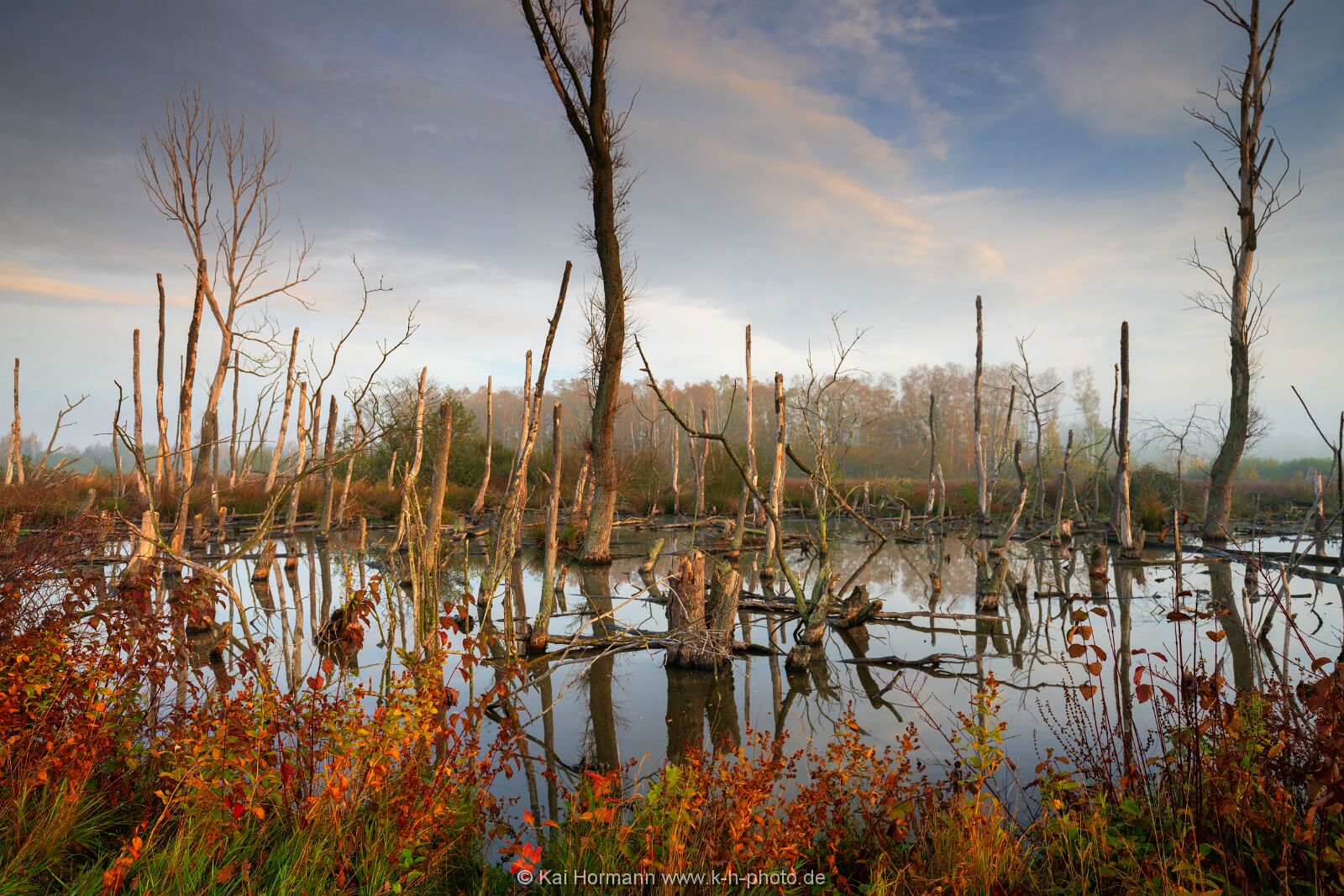 Östliches großes Torfmoor, 31 Oktober 2022. Bild 8. 