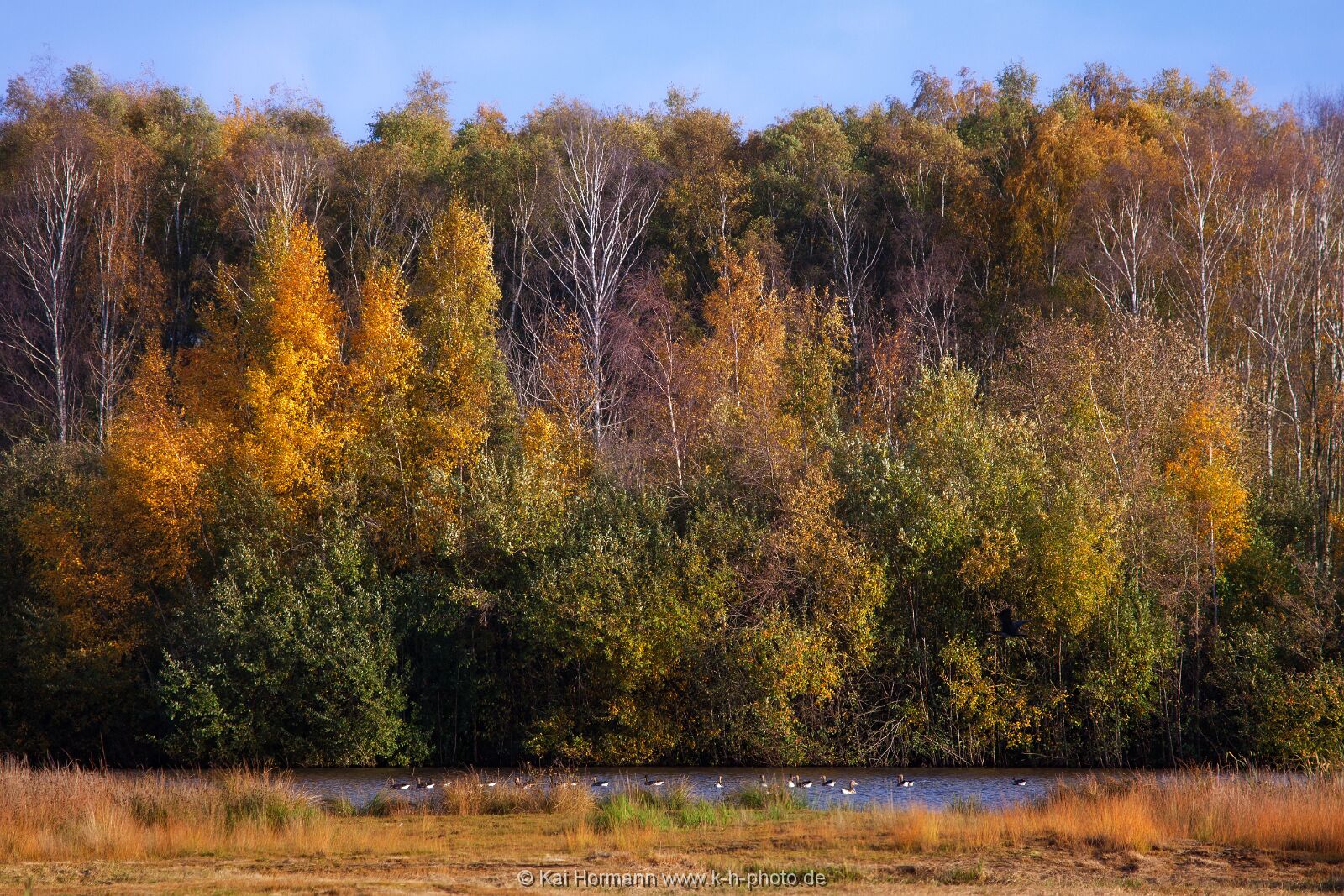 Großes Torfmoor Das Große Torfmoor.