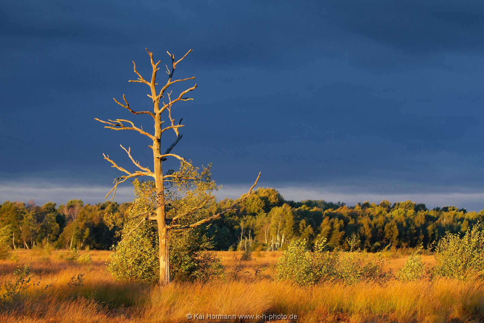 Großes Torfmoor Das Große Torfmoor.