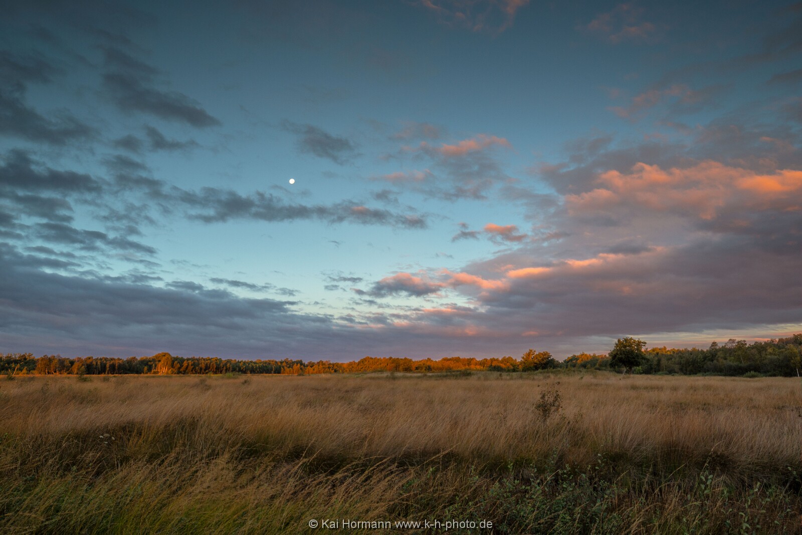 Großes Torfmoor Das Große Torfmoor.