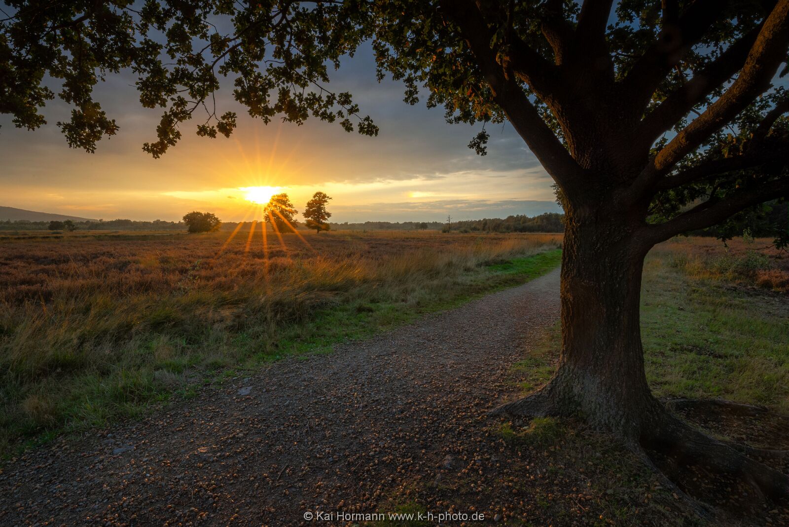 Großes Torfmoor Das Große Torfmoor.