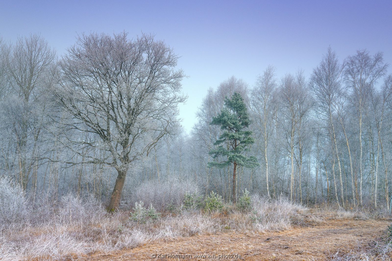 Großes Torfmoor Das Große Torfmoor.