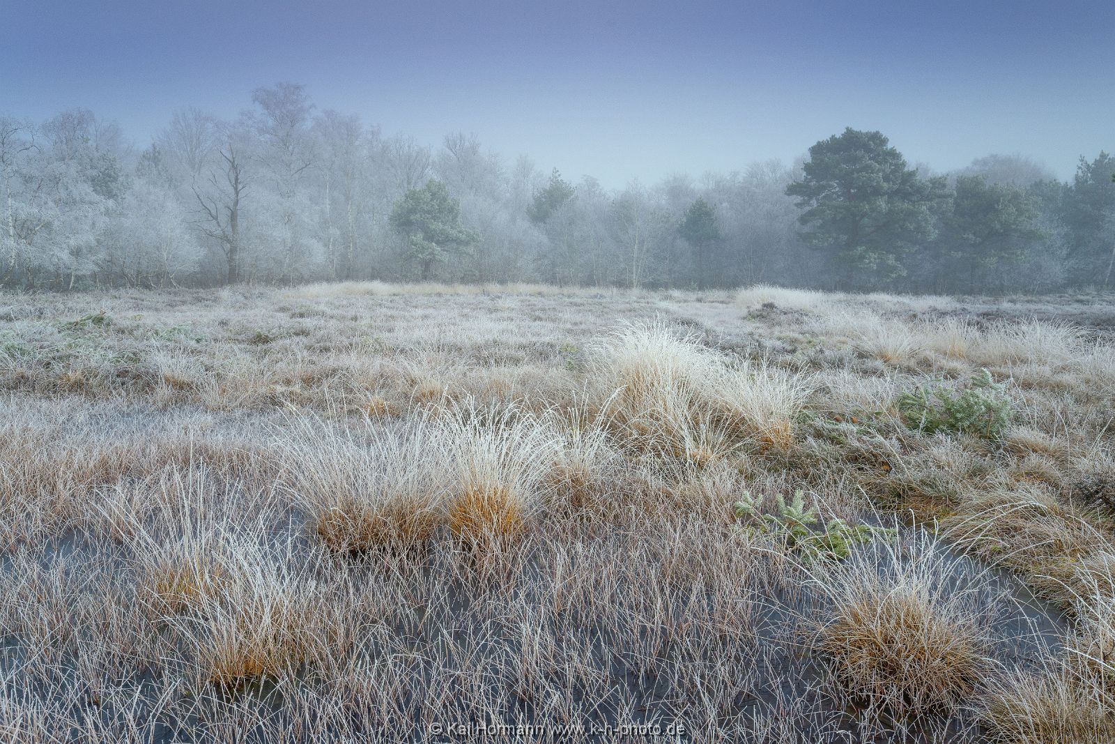 Großes Torfmoor Das Große Torfmoor.