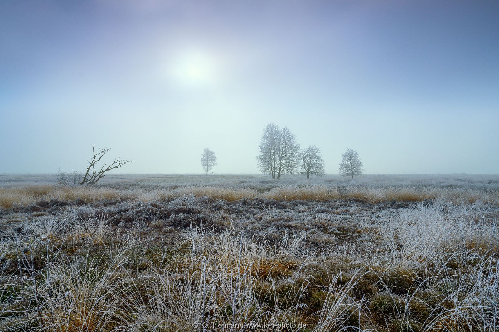 Großes Torfmoor Das Große Torfmoor.