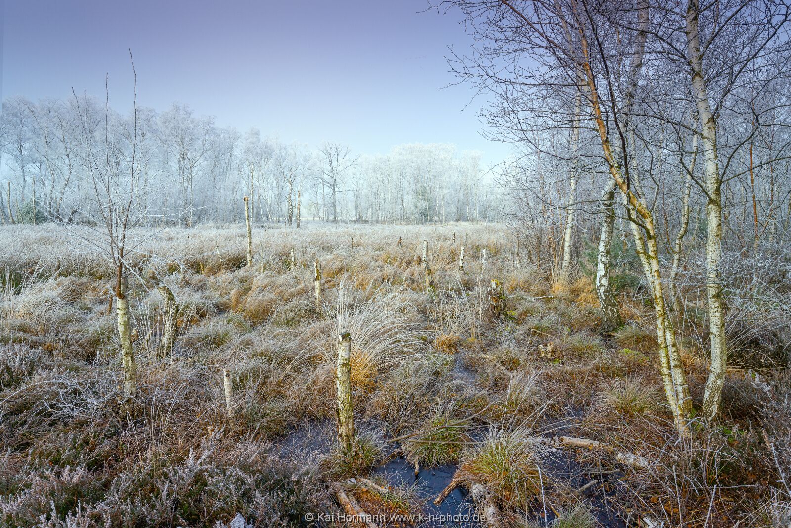 Großes Torfmoor Das Große Torfmoor.
