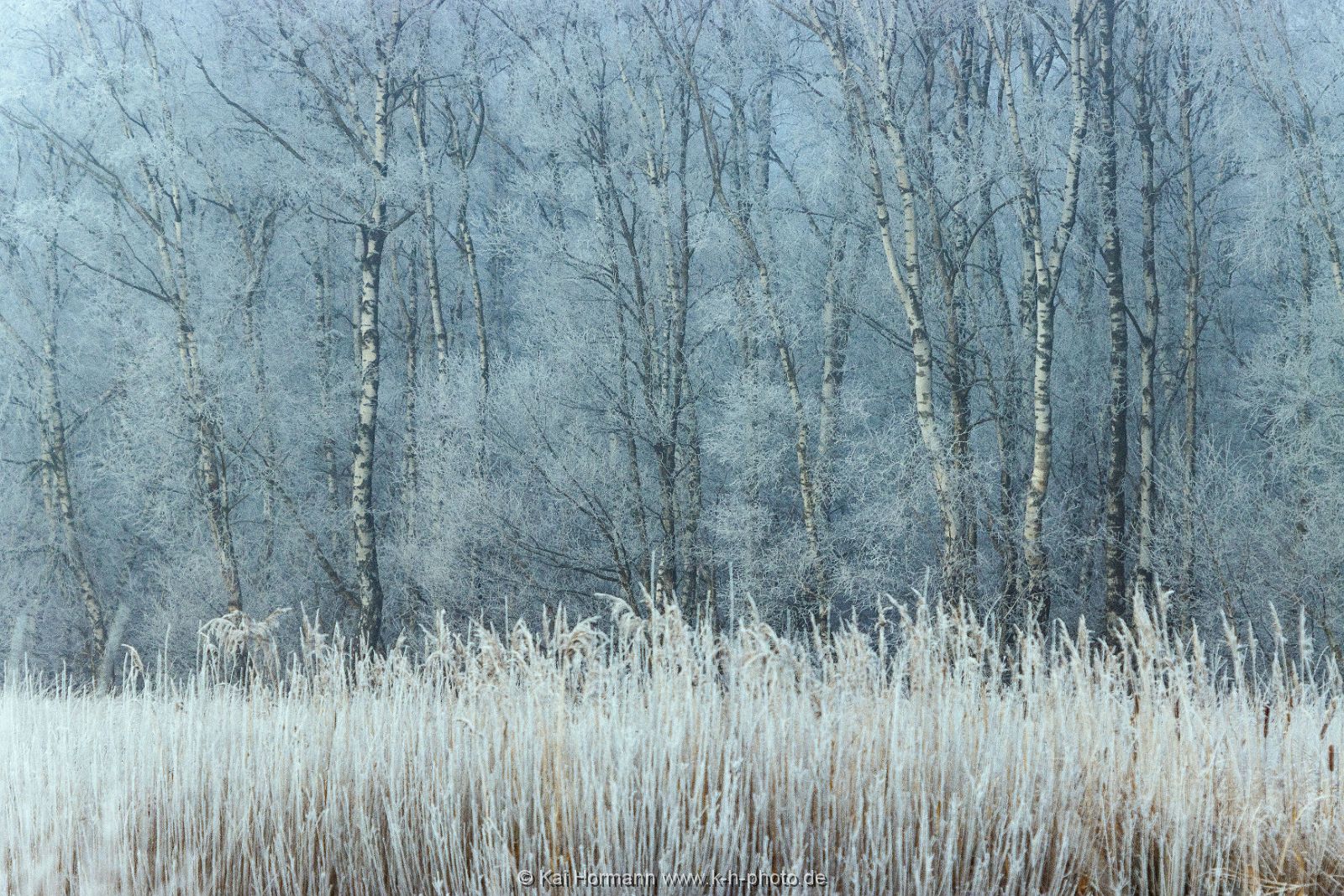 Großes Torfmoor Das Große Torfmoor.