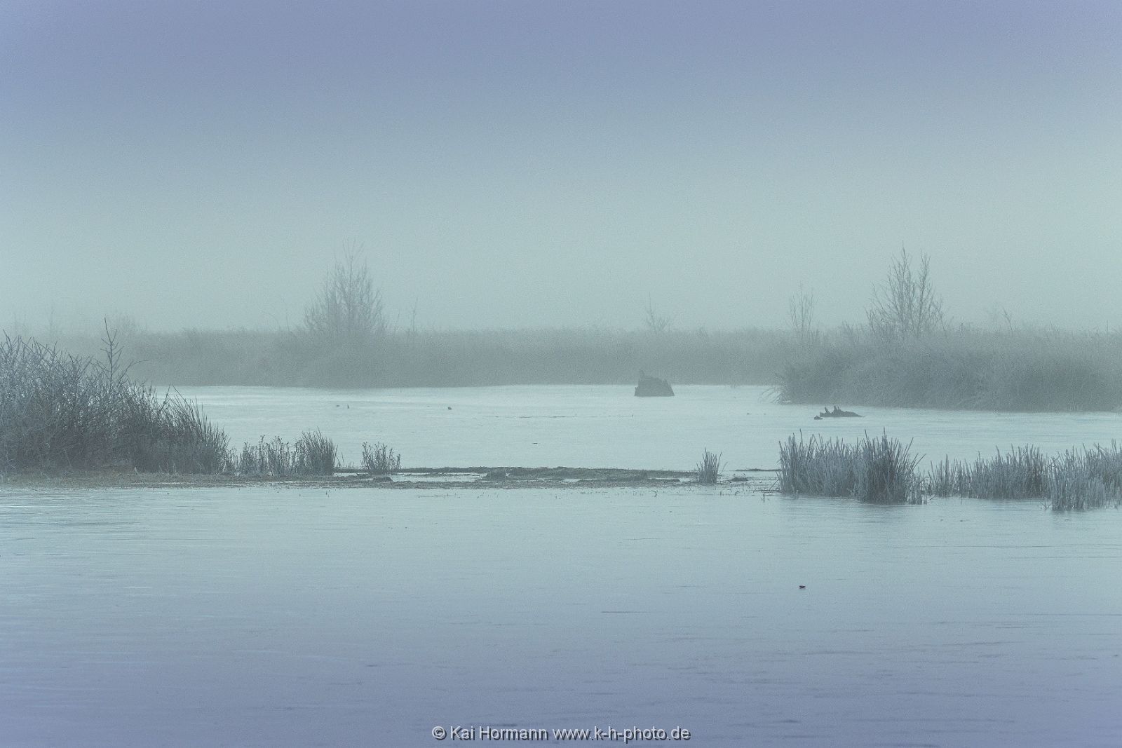 Großes Torfmoor Das Große Torfmoor.