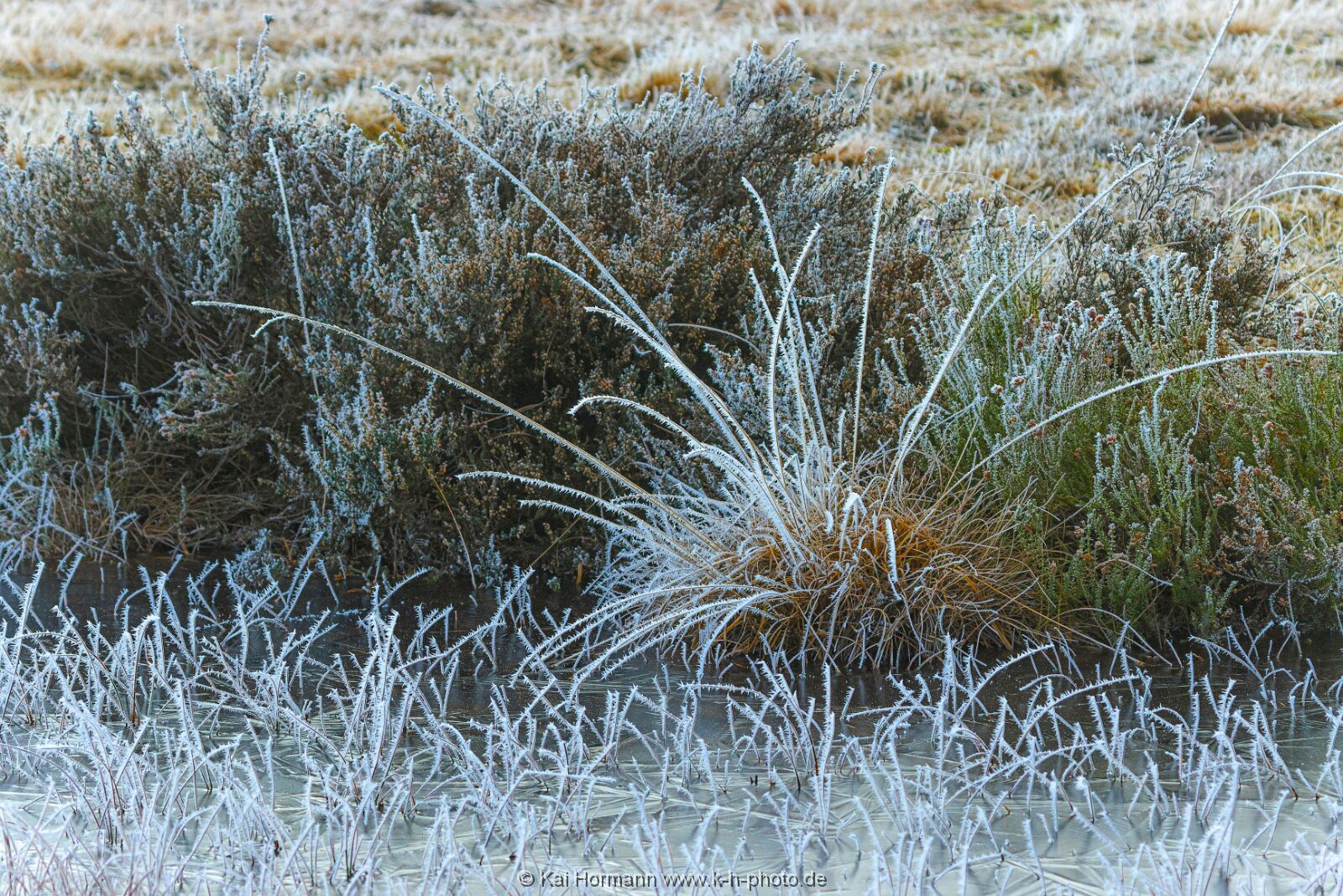 Großes Torfmoor Das Große Torfmoor.