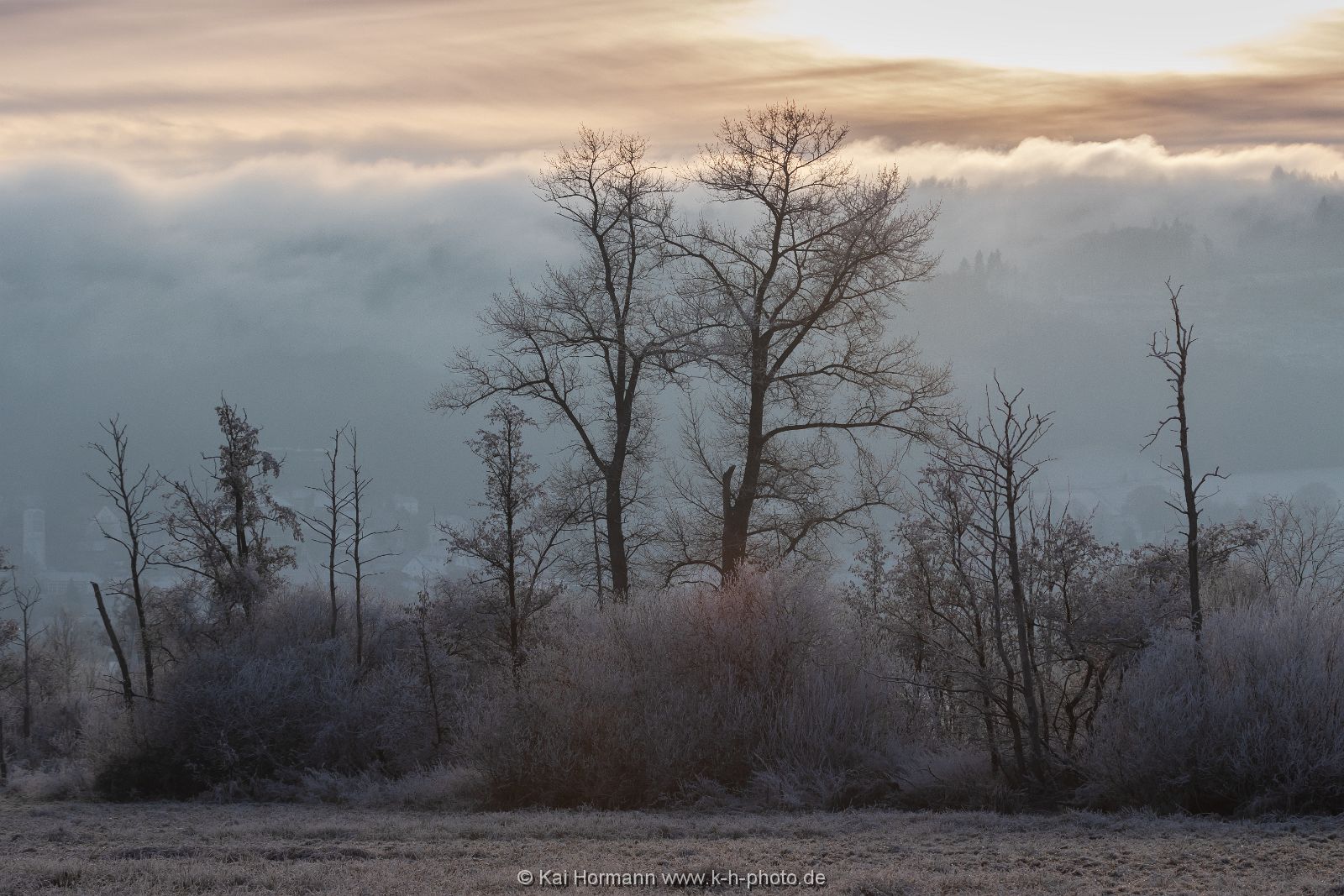 raureif_dezember-2021_bild11 