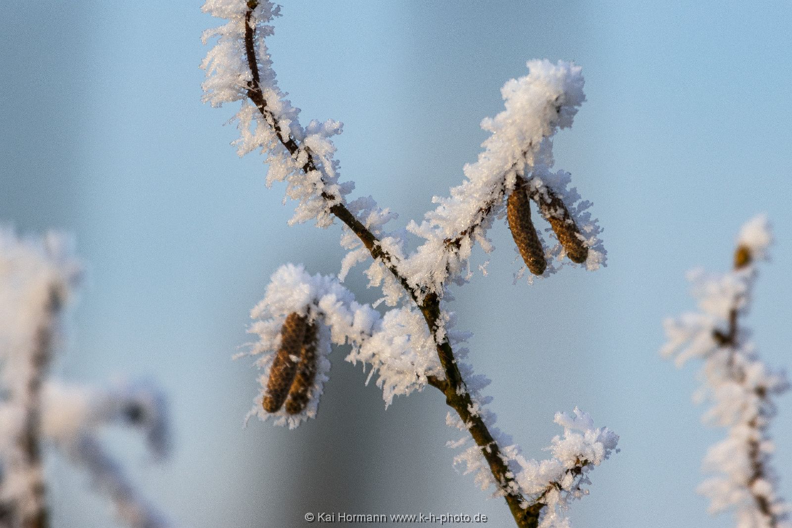 raureif_dezember-2021_bild13 