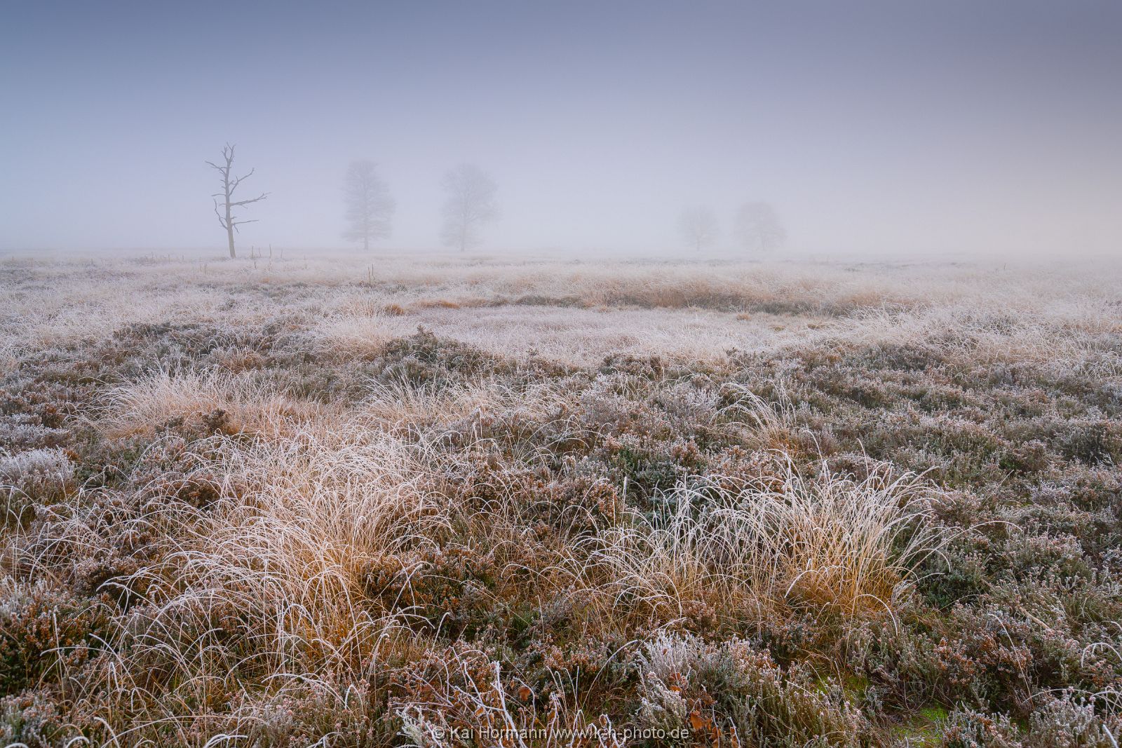 Großes Torfmoor Das Große Torfmoor.