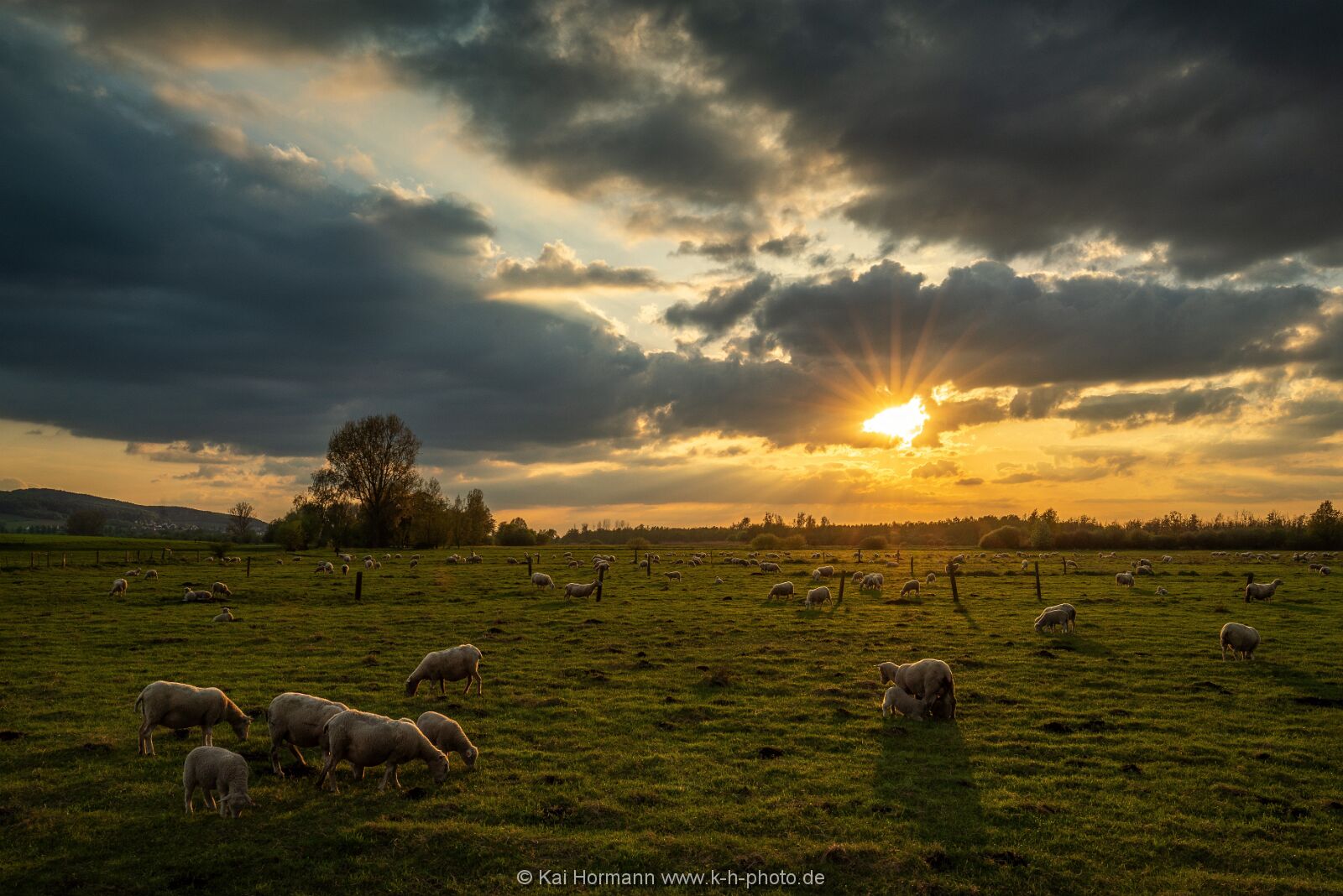 Großes Torfmoor Das Große Torfmoor.