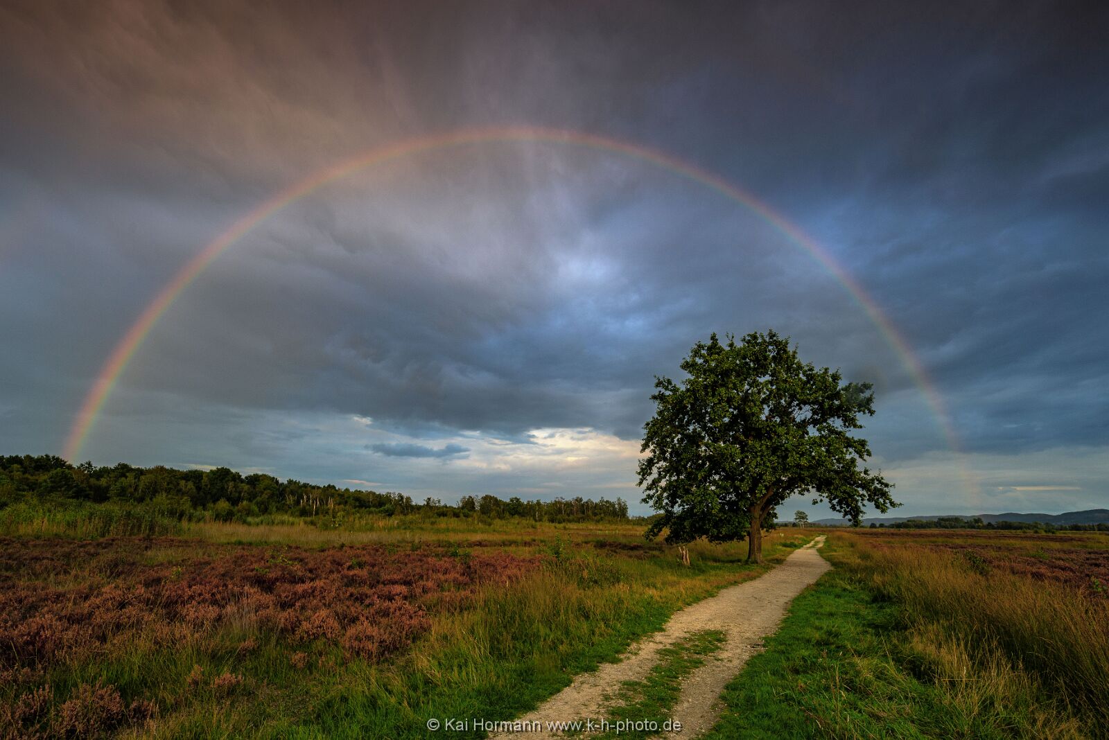 Großes Torfmoor Das Große Torfmoor.