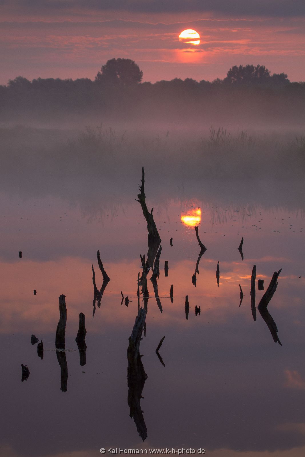 Großes Torfmoor Das Große Torfmoor.