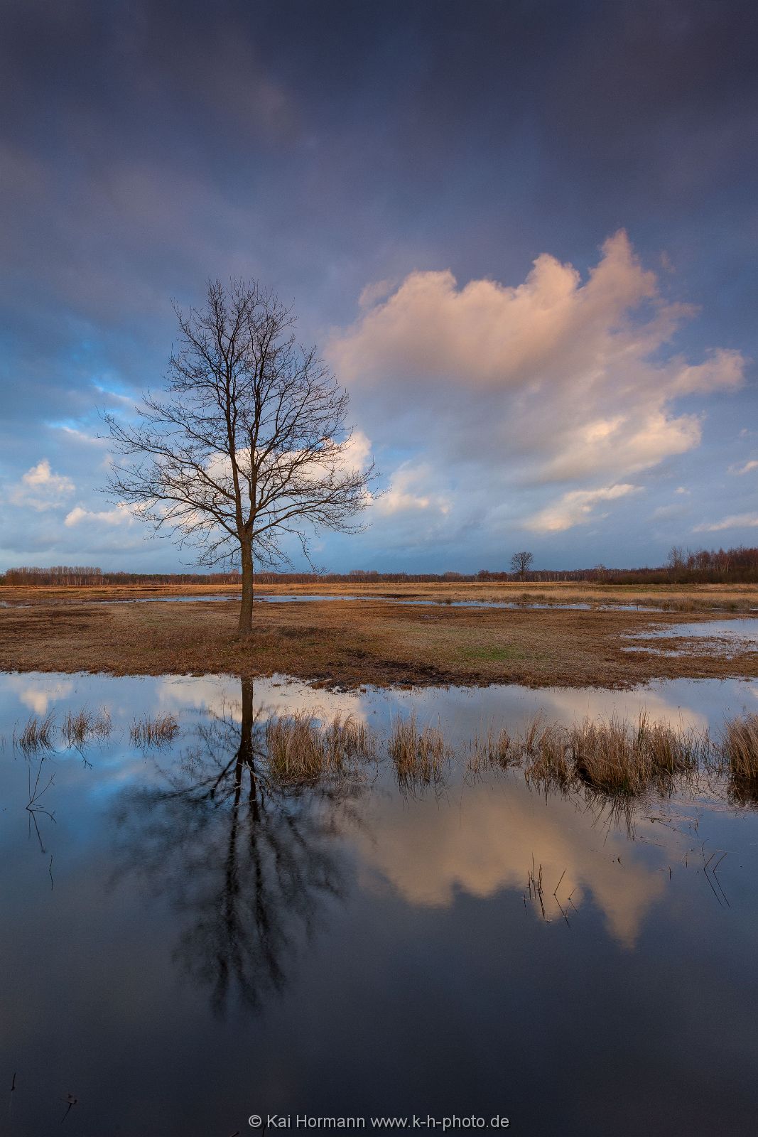 Großes Torfmoor Das Große Torfmoor.