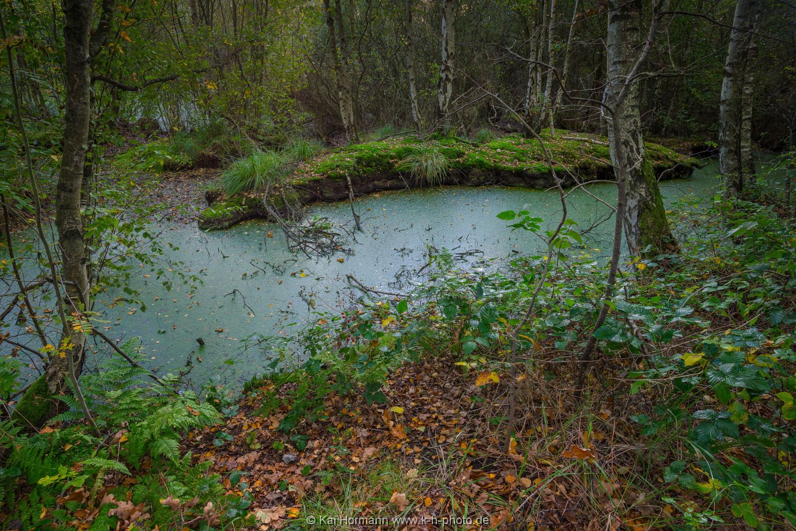 Großes Torfmoor Das Große Torfmoor.