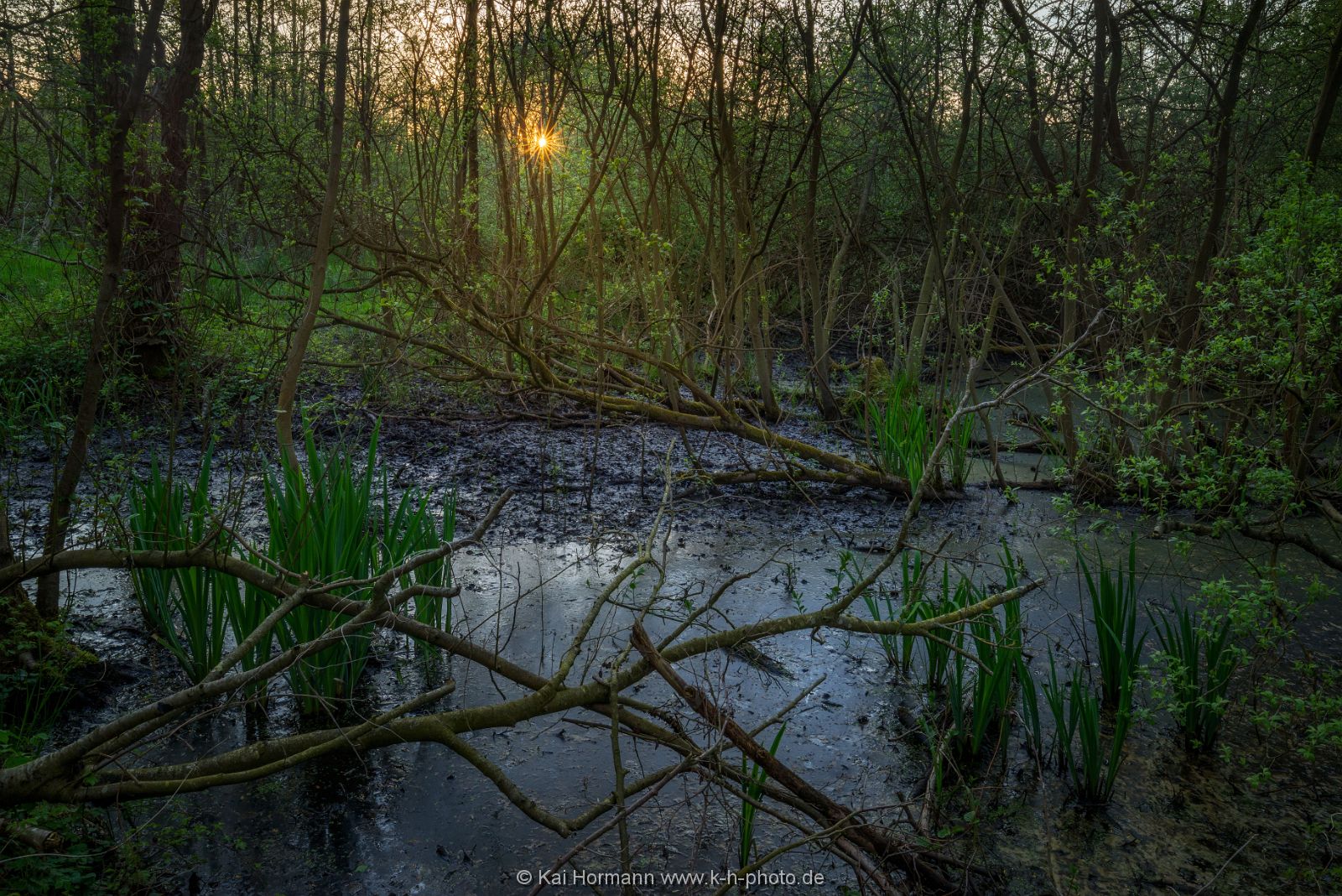 Großes Torfmoor Das Große Torfmoor.