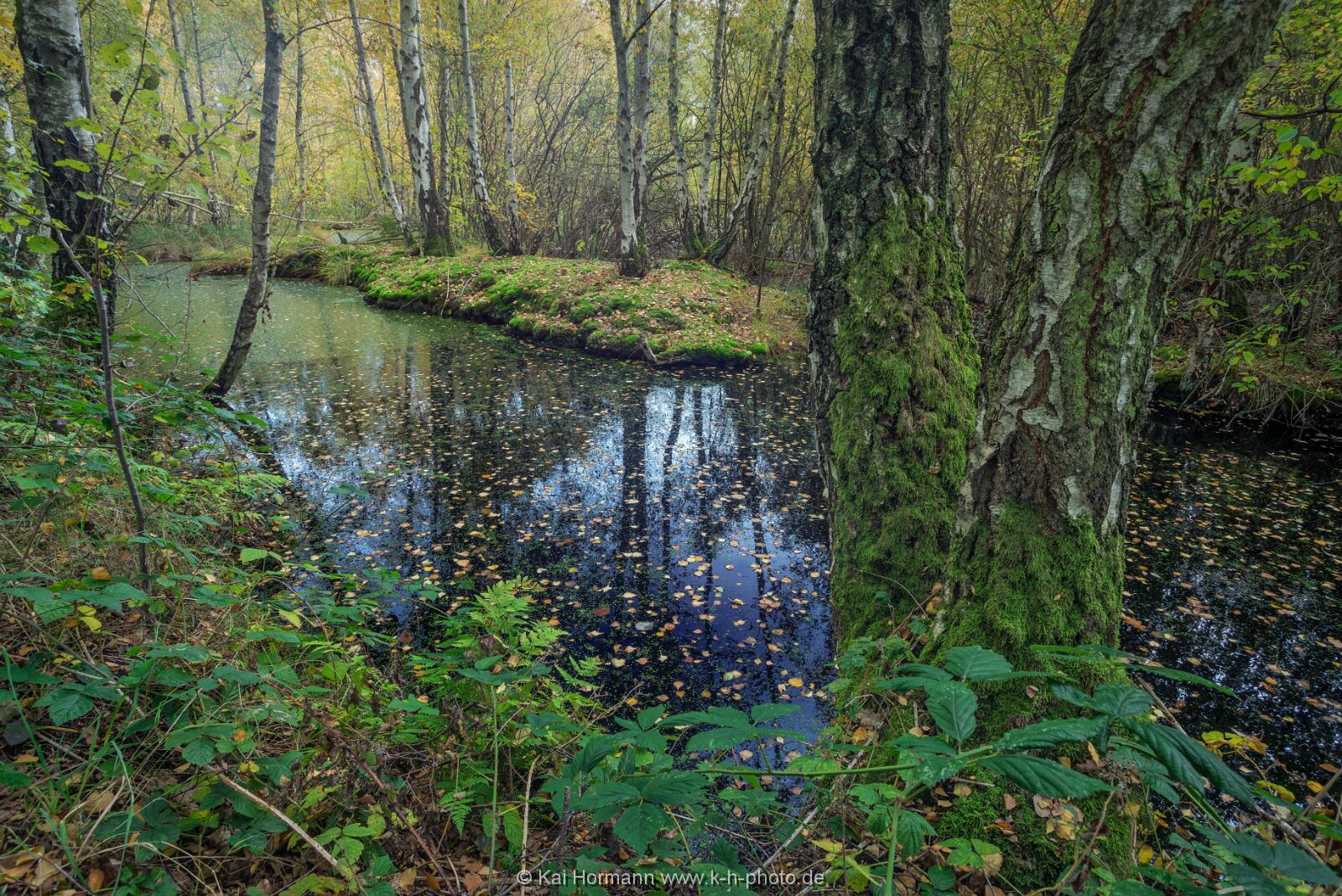 Großes Torfmoor Das Große Torfmoor.