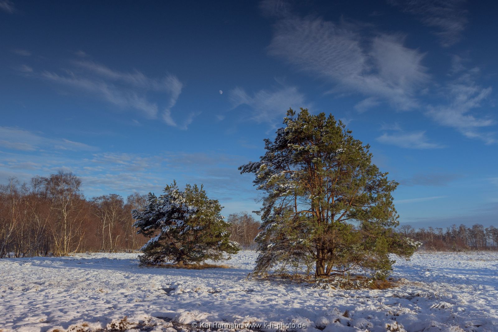 Großes Torfmoor Das Große Torfmoor.