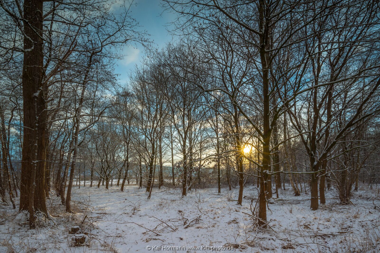 Großes Torfmoor Das Große Torfmoor.