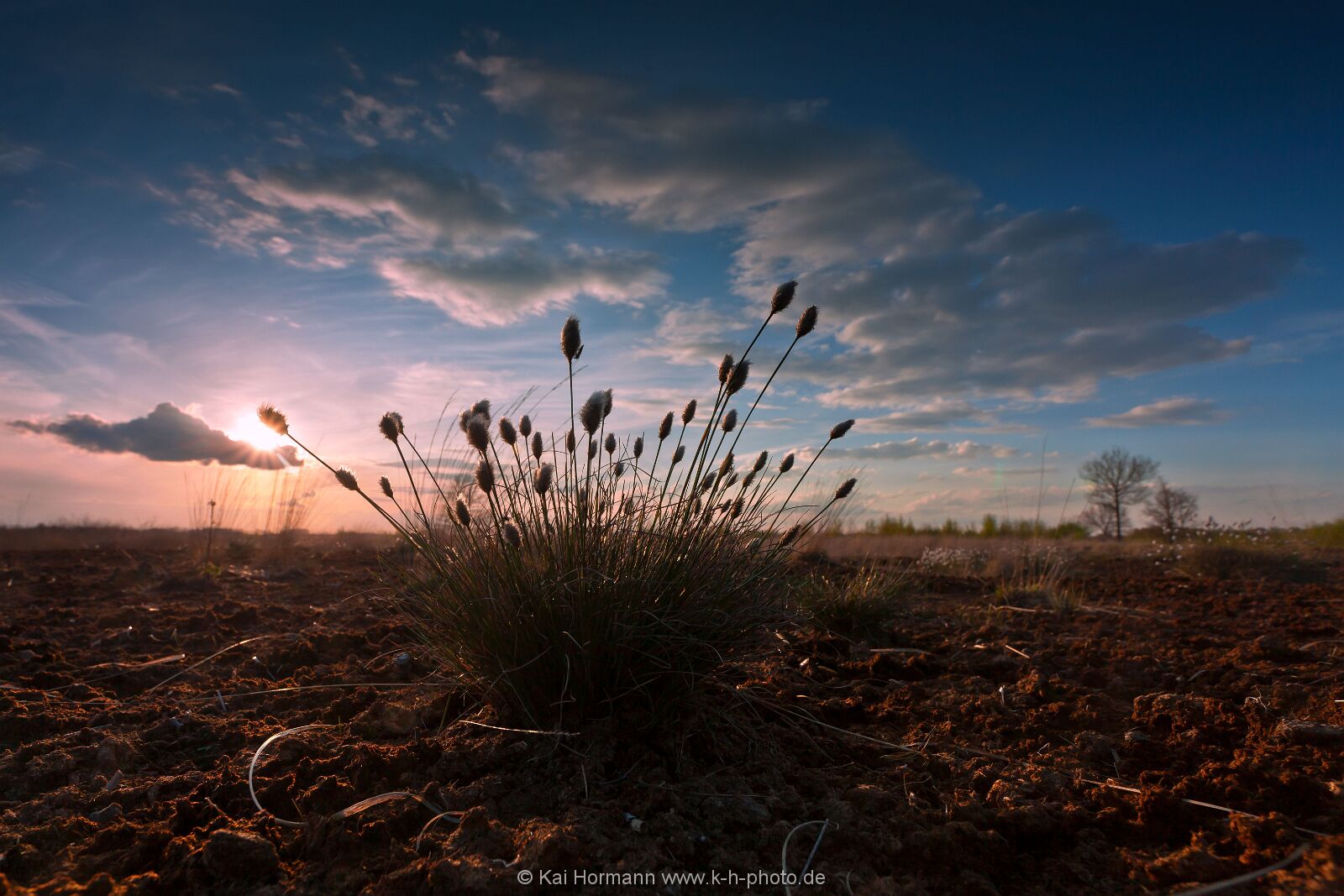 Großes Torfmoor Das Große Torfmoor.