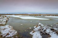 Großes Torfmoor, 22.01.2023 Bild 1
