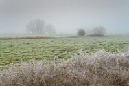 Östliches großes Torfmoor 19 Januar 2025 11.