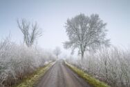 Östliches großes Torfmoor 19 Januar 2025 6.