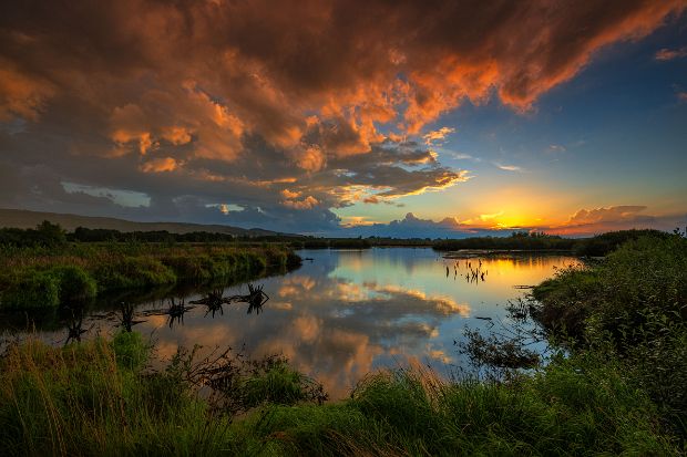 Großes Torfmoor, Hiller Moor Landschaftsaufnahmen aus dem Naturschutzgebiet Großes Torfmoor im Kreis Minden Lübbecke. © Kai Hormann www.k-h-photo.de