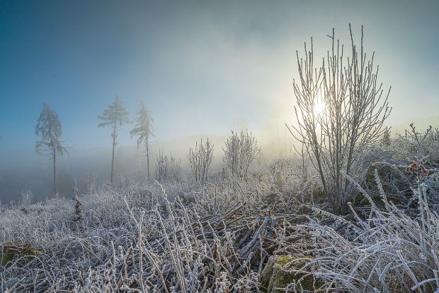 Wiehengebirge Diverse Aufnahmen aus dem Wiehengebirge . © Kai Hormann www.k-h-photo.de