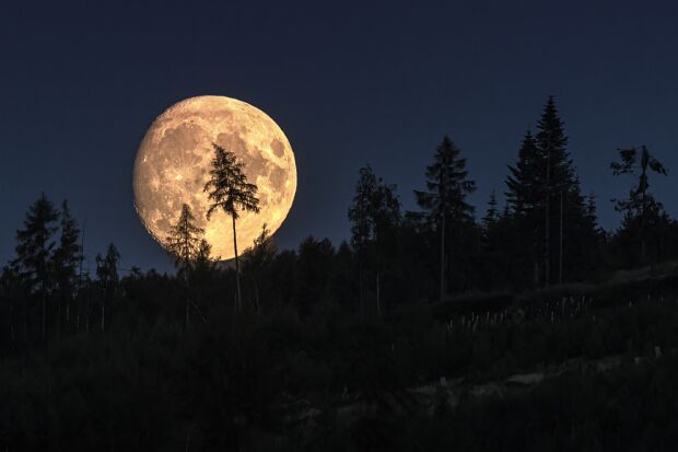 Wiehengebirge Diverse Aufnahmen aus dem Wiehengebirge . © Kai Hormann www.k-h-photo.de