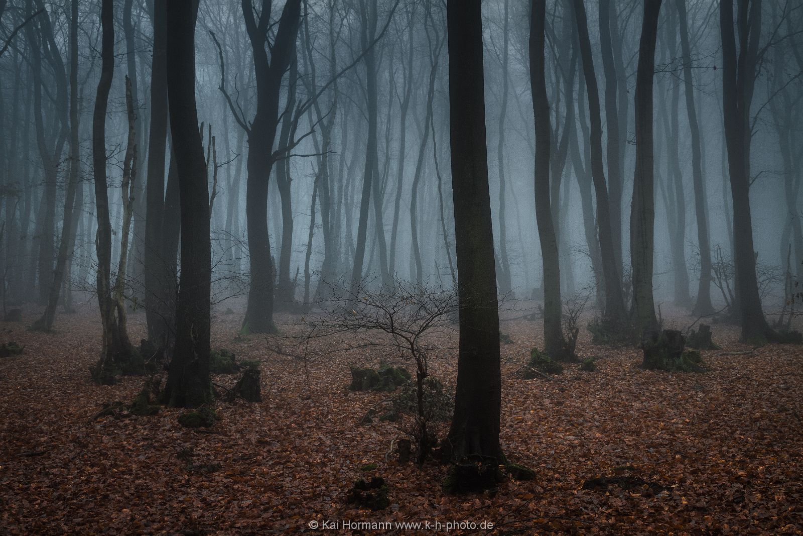 dezembernebel-2 Das Wiehengebirge.