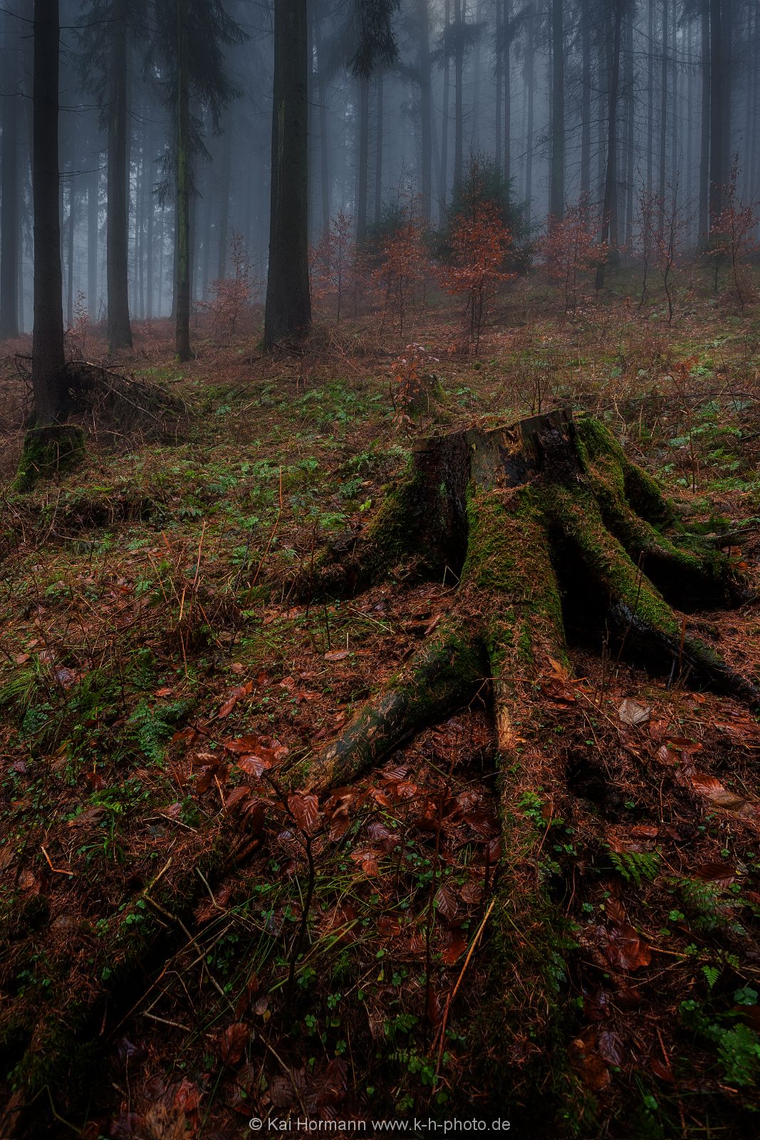 dezembernebel-3 Das Wiehengebirge.