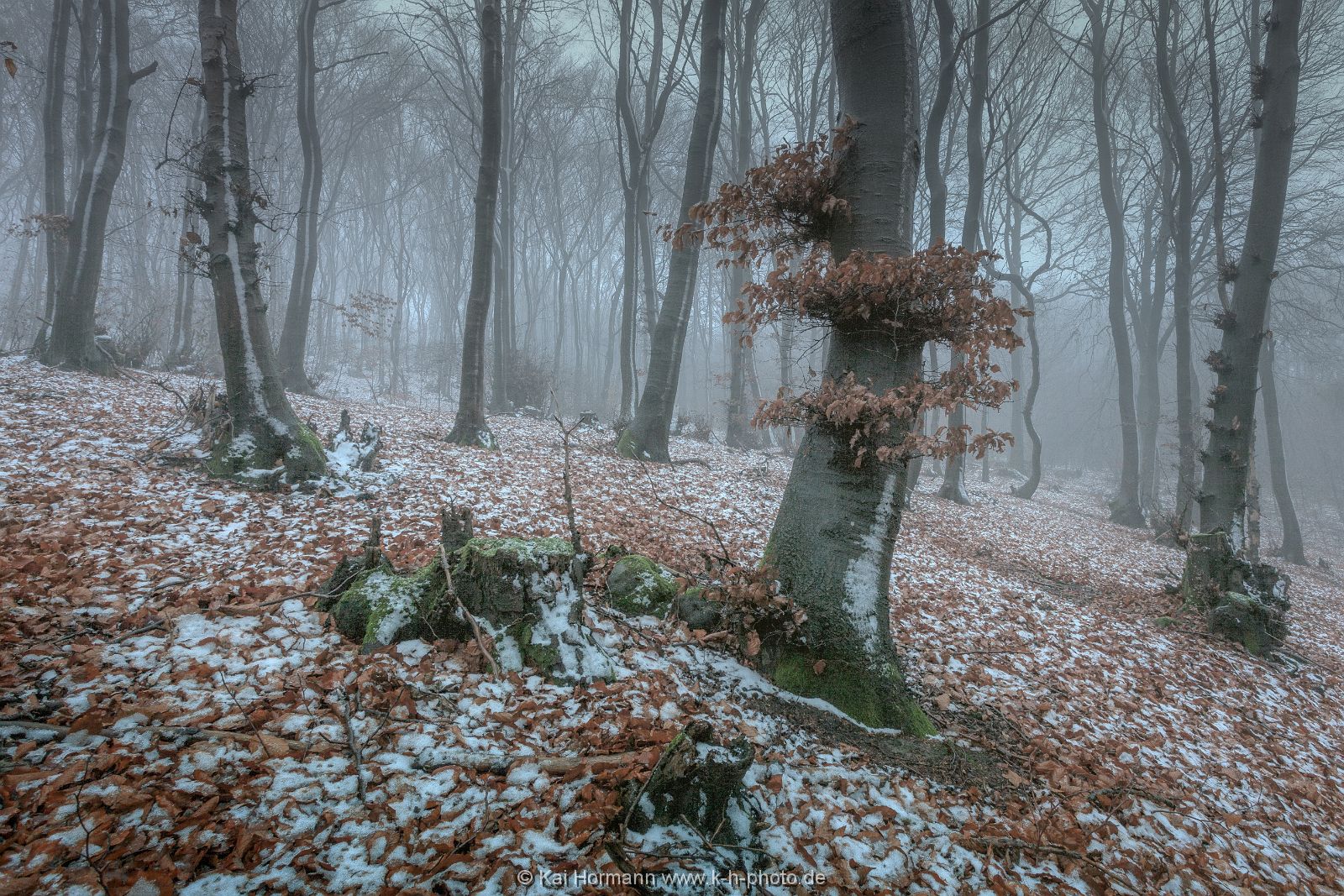 erster-schnee Das Wiehengebirge.