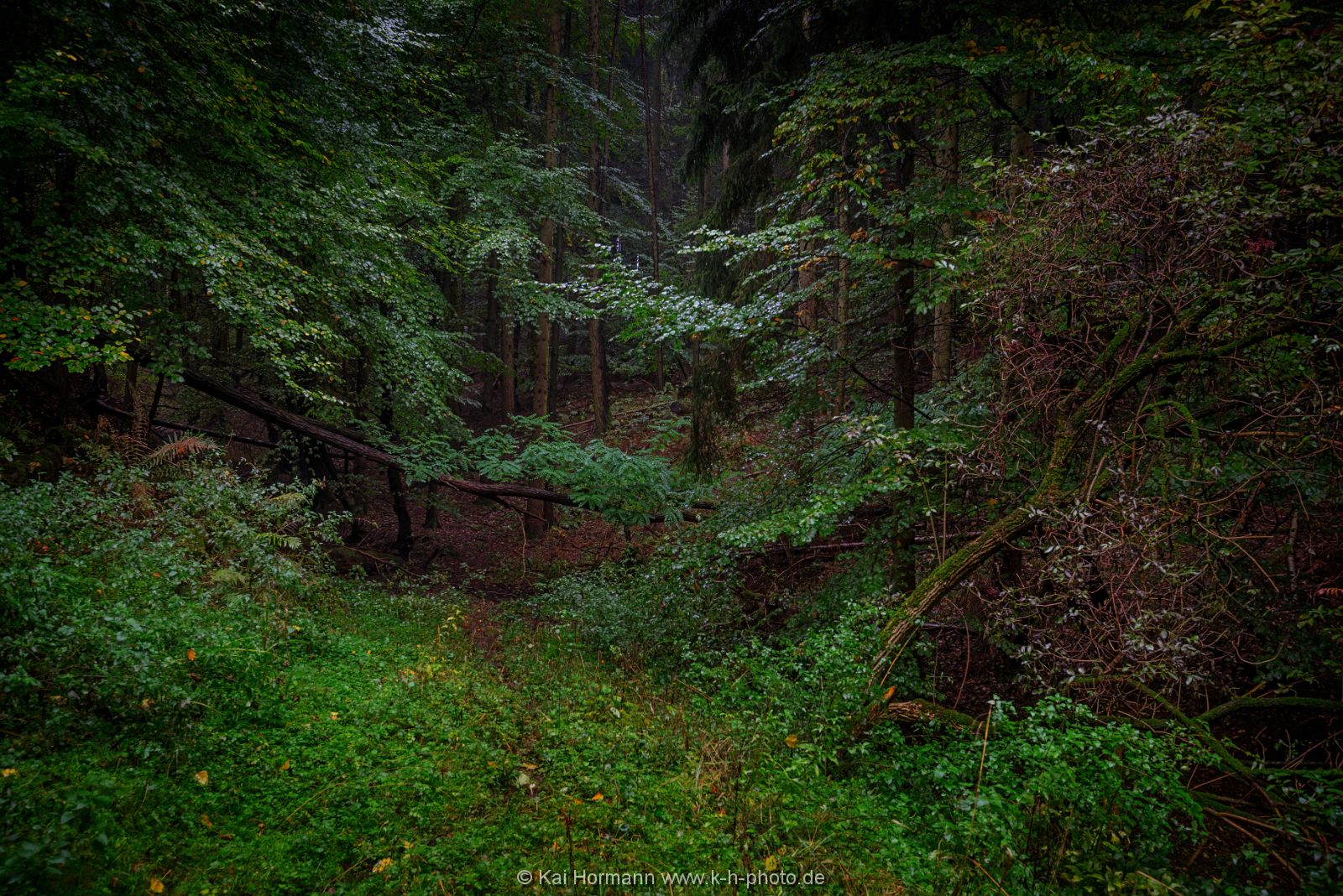 herbst-im-wiehengebirge-2016-1 Das Wiehengebirge.
