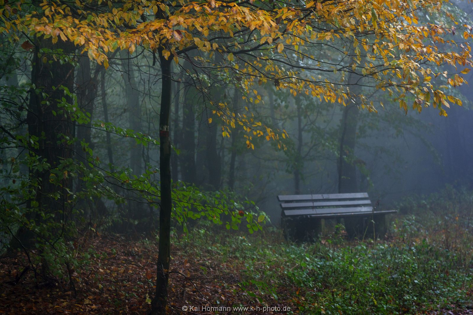 herbst-im-wiehengebirge-2016-12 Das Wiehengebirge.