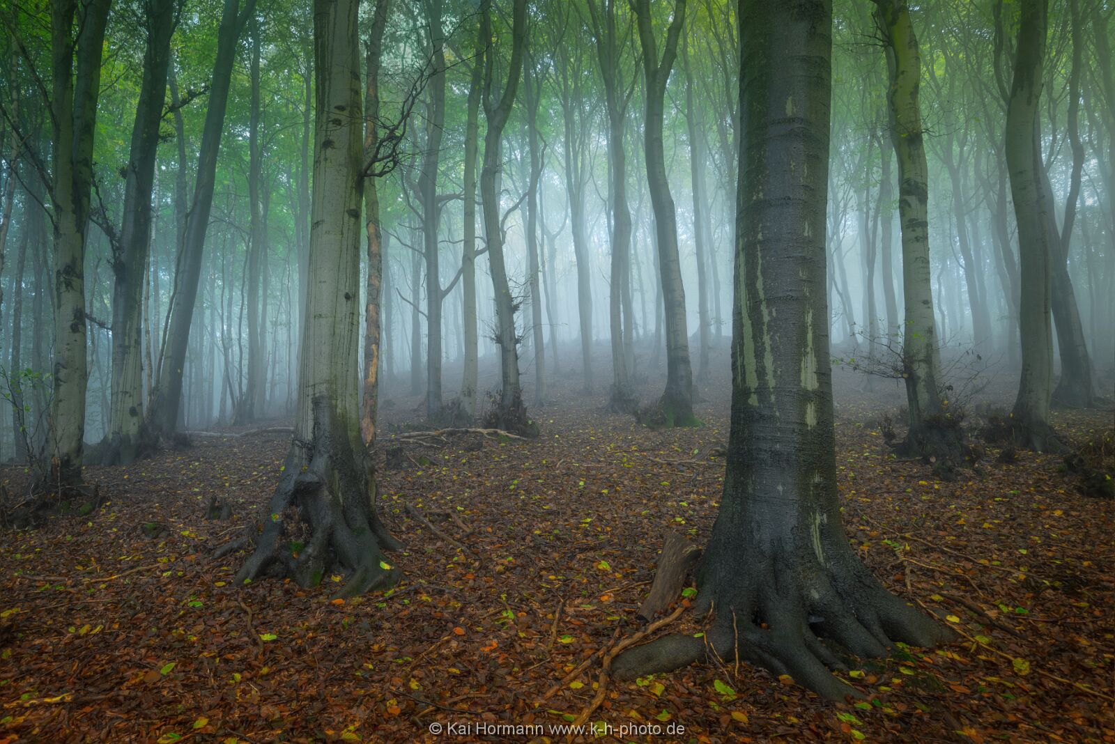 herbst-im-wiehengebirge-2016-16 Das Wiehengebirge.