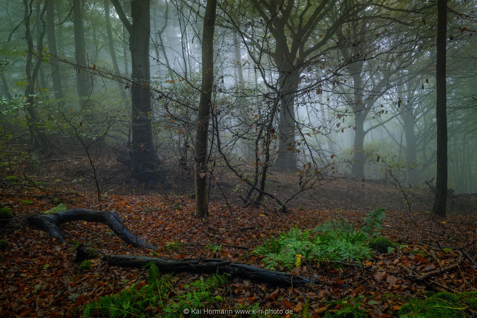 herbst-im-wiehengebirge-2016-18 Das Wiehengebirge.