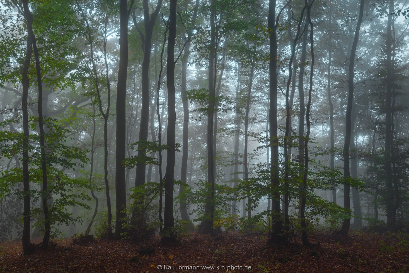 herbst-im-wiehengebirge-2016-19 Das Wiehengebirge.