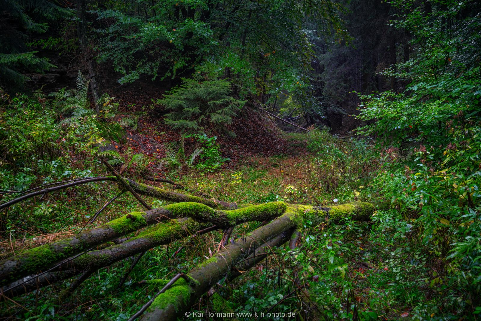 herbst-im-wiehengebirge-2016-2 Das Wiehengebirge.